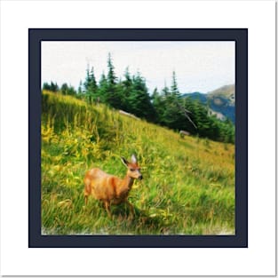 deer on field Posters and Art